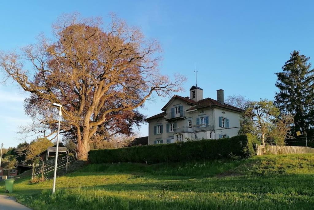 Seesicht Und Charmante Wohnung Bei Hanni Und Ueli Bottighofen المظهر الخارجي الصورة